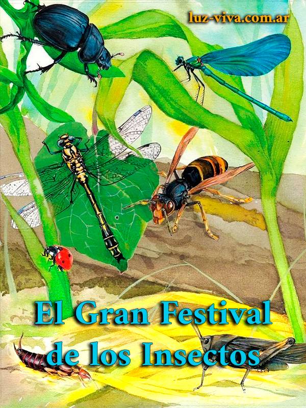 El Gran Festival de los Insectos